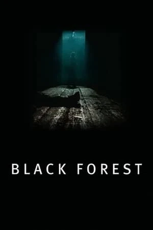 Regarder Les Secrets de la forêt noire en streaming complet