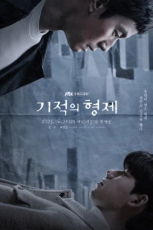 Miraculous Brothers affiche 