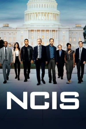  NCIS : Enquêtes Spéciales - Saison 20 affiche 