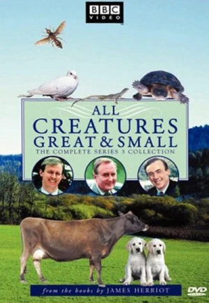  All Creatures Great and Small - Saison 3 affiche 