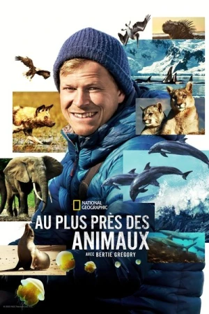  Au plus près des animaux avec Bertie Gregory - Saison 1 affiche 