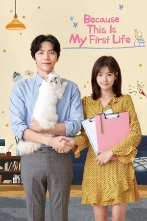  Because This Is My First Life affiche 