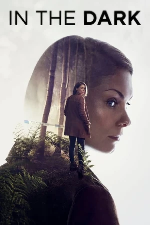  In the Dark - Saison 1 affiche 