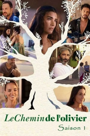  Le Chemin de l'olivier - Saison 1 affiche 
