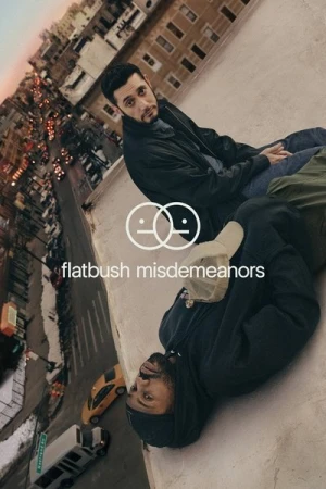 Regarder Flatbush Misdemeanors - Saison 1 en streaming complet