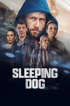  Sleeping Dog - Saison 1 affiche 
