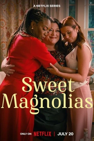  A L'Ombre Des Magnolias - Saison 3 affiche 