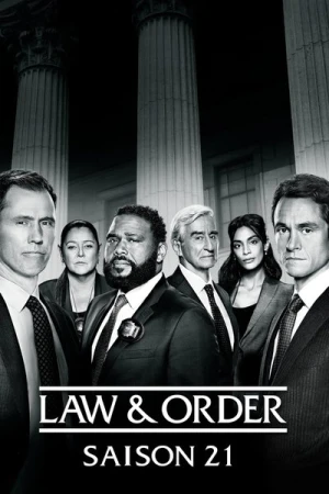  New York District / New York Police Judiciaire - Saison 21 affiche 