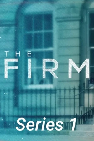  The Firm - Saison 1 affiche 
