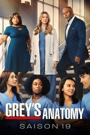  Grey's Anatomy - Saison 19 affiche 